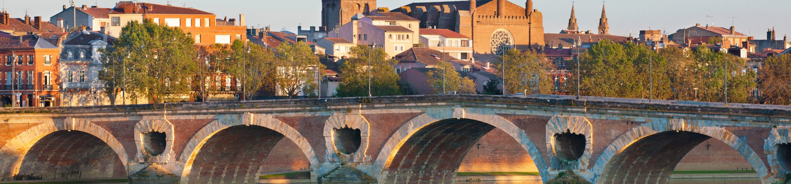 The,Pont,Neuf,In,Toulouse,In,A,Summer,Evening